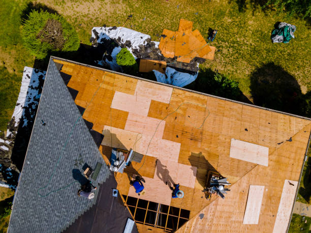 Best Storm Damage Roof Repair  in Annandale, VA