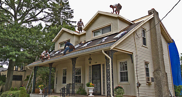 Best Gutter Installation and Roofing  in Annandale, VA
